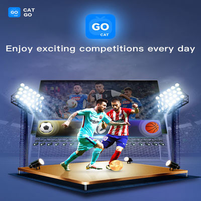Digibox BT5.2 Iptv Box 4GB Ram Contrôle de voix Bluetooth Pour télévision