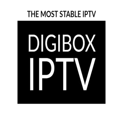 2024 Digibox Smart Android 12 TV Box Quad Core 6K 4K Lecteur de diffusion HD